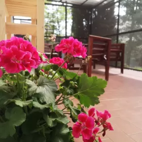 Ostatnie wolne pokoje na najbliższy weekend - 50zł od osoby!!!
