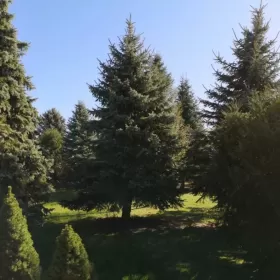 Ostatnie wolne pokoje na najbliższy weekend - 50zł od osoby!!!