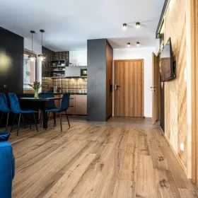 Nowe Apartamenty w Centrum, Zakopane, Kasprowy Wierch