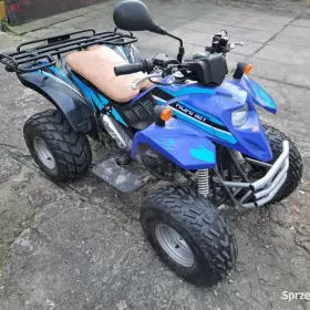 Quad 100 tgb hornet