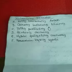 Sadzonki pomidorów, różne gatunki.
