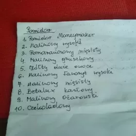 Sadzonki pomidorów, różne gatunki.