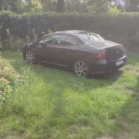 Peugeot bez zderzaka