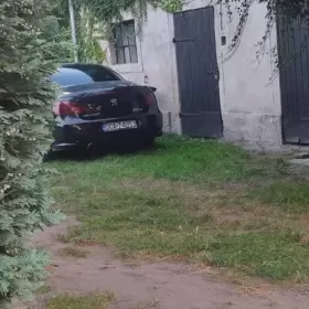 Peugeot bez zderzaka
