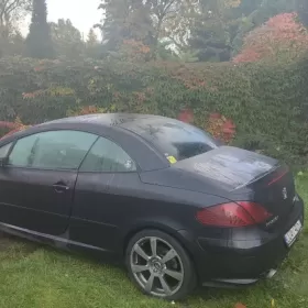 Peugeot bez zderzaka