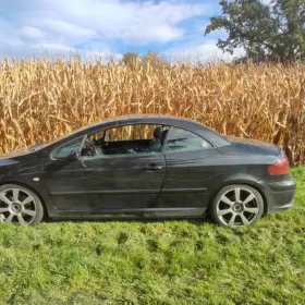 Peugeot bez zderzaka