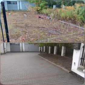 wycinka drzew karczowanie rębak skup drzew na pniu podnośnik koszowy