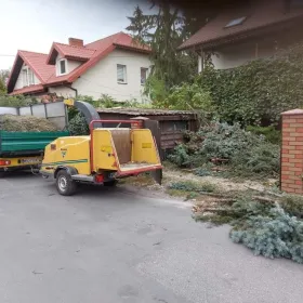 wycinka drzew karczowanie rębak skup drzew na pniu podnośnik koszowy