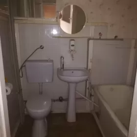 Opróżnianie mieszkań, działek, piwnic, strychów. Odpluskwianie!