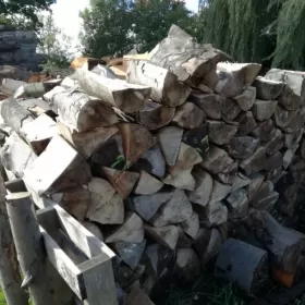 Drewno kominkowe dowóz gratis do 20 km od Koszalina!