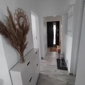 Domek, Apartamenty 3-8 os., Bon turyst., Jez. Białe Okuninka Włodawa