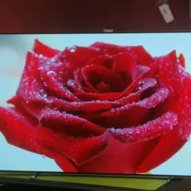 Telewizor Philips Oled 65 cali 4K UHD,Android,Ambiliht3 Ideał