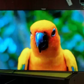 Telewizor Philips Oled 65 cali 4K UHD,Android,Ambiliht3 Ideał