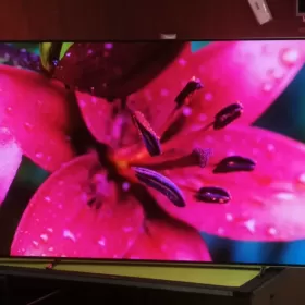 Telewizor Philips Oled 65 cali 4K UHD,Android,Ambiliht3 Ideał