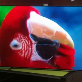 Telewizor Philips Oled 65 cali 4K UHD,Android,Ambiliht3 Ideał