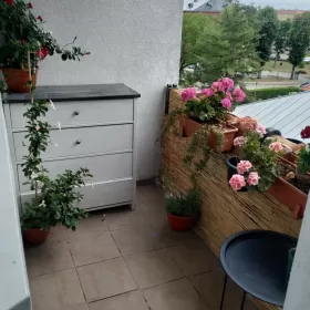 Mieszkanie 3 pokoje centrum Dębna 4piętro