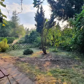 Działka ogrodnicza na ROD Kamieniak w Łukowie