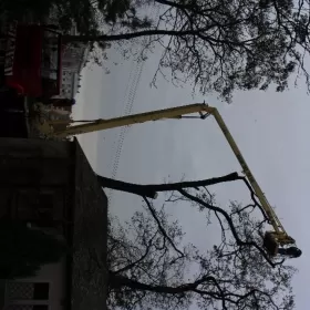 Podnośnik koszowy, wycinka drzew, czyszczenie rynien, mycie dachów
