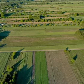 Atrakcyjna działka budowlana, Stary Antonin, Firlej ( lubelskie )