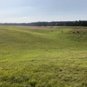 Działka budowlana  Rozłazino 1490m przy lesie, widok wow…