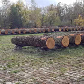 Beczka Dębowa 225L  Nowa wino whisky  produkcja 2022 beczki dębowe
