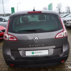Renault Megane Scenic, sprowadzony, OPŁACONY(55)