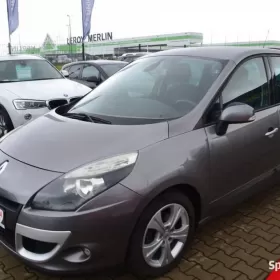 Renault Megane Scenic, sprowadzony, OPŁACONY(55)
