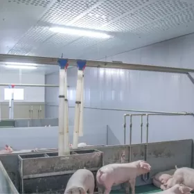 Błękitne Panele Izolujące XPS AGRO Podsufitka Podbitka Styrodur Thermo