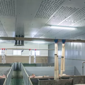Błękitne Panele Izolujące XPS AGRO Podsufitka Podbitka Styrodur Thermo