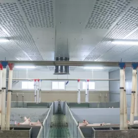 Błękitne Panele Izolujące XPS AGRO Podsufitka Podbitka Styrodur Thermo