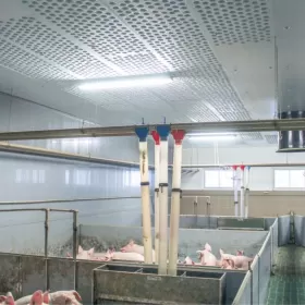 Błękitne Panele Izolujące XPS AGRO Podsufitka Podbitka Styrodur Thermo