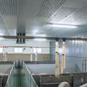 Błękitne Panele Izolujące XPS AGRO Podsufitka Podbitka Styrodur Thermo
