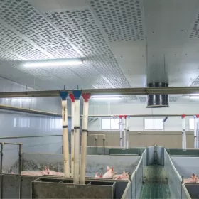 Błękitne Panele Izolujące XPS AGRO Podsufitka Podbitka Styrodur Thermo