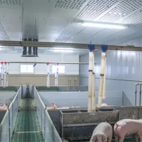 Błękitne Panele Izolujące XPS AGRO Podsufitka Podbitka Styrodur Thermo