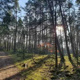 Apartamenty Z BASENEM całoroczny nad Morzem  Sztutowo Baltic Sun. Nr29