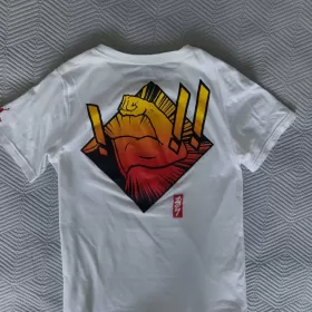 Chłopiec 158 tshirt Jordan, reserved zestaw ubrań