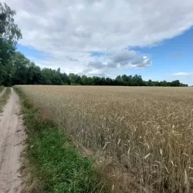 Działka blisko zalewu i pod lasem