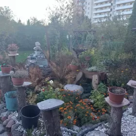 Dzialka rodo ul.sikoskiego