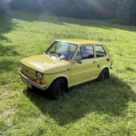 Maluszek po kompletnej renowacji.