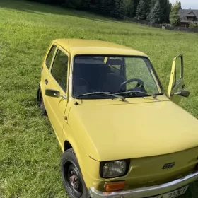 Maluszek po kompletnej renowacji.