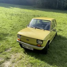Maluszek po kompletnej renowacji.