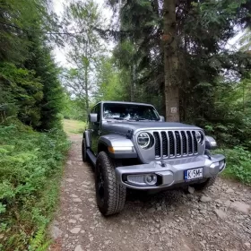 Jeep Wrangler Unlimited Sahara Altitude 3.6 V6 Torque 2021