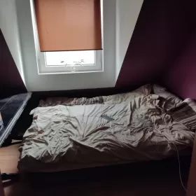 Mieszkanie 4 pokoje do wynajęcia