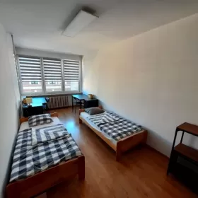 Do wynajęcia mieszkanie 2 pokojowe.