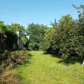 Wynajmę dom 125m2 w centrum Dąbrowy Górniczej działka 1000m2