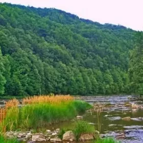 Domki, Nad Rzeką Solinką.Bukowiec, Bieszczady.