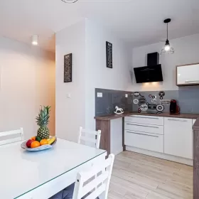 Zakopane ul. Bory Jaszczurówka piękny apartament na sprzedaż! 60,54 m2