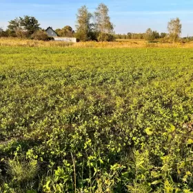 Działka 45a Wołowice z pozwoleniem na budowę