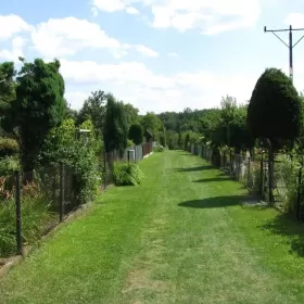 Wynajmę ogródek działkowy 175m2