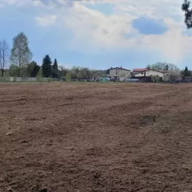 Mulczer leśny | Wycinka drzew | Mulczowanie | Karczowanie